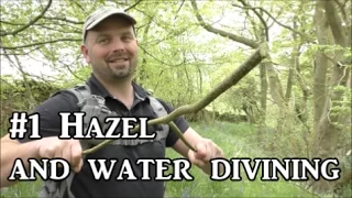 Hazel - Plant Identification, Uses and Folklore