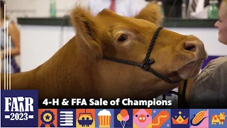 4-H & FFA Sale of Champions