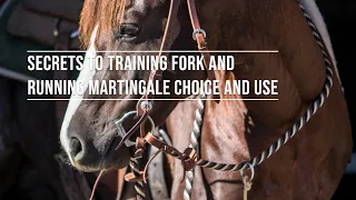 Secrets of Training Fork and Running Martingale Choice and Use