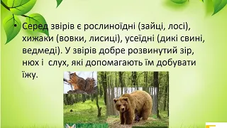 Урок 44 . ЗВІРІ. ЯДС 3 клас до. підручника І.Жаркової