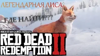 ЛЕГЕНДАРНАЯ ЛИСА В RED DED REDEMPTION 2