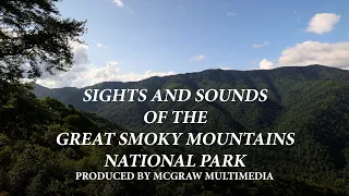 Sights and Sounds of the Great Smoky Mountains National Park