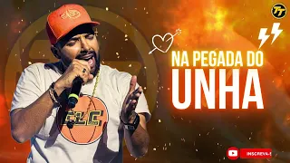 UNHA PINTADA - CD NOVO - REPERTORIO ATUALIZADO