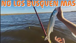 MUCHO PEJERREY! Pesca en Laguna San Lorenzo/La Boca Pesquero La Orfilia.. Altos Verdes 😔 (Parte 1/2)