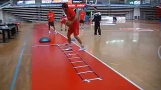 Trabajo de Pies en Baloncesto Profesional (www.xavischelling.com)