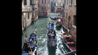 Venice Film Festival 2019