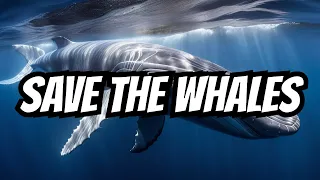 The Uncertain Future of Our Majestic Whales