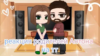 реакция родителей Антона на тт (tiny bunny)