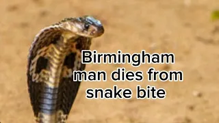 Birmingham man dies from snake bite in Pakistan