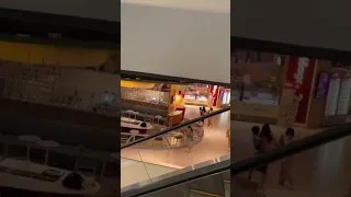 Gunshots as people flee shopping mall