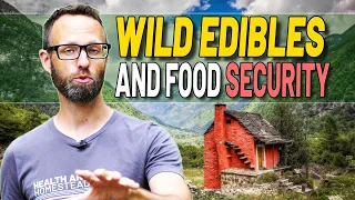 How To Learn Nutritious Wild Edibles For Food Security