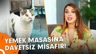 Yemekteyiz Masasını Şenlendiren Misafir! | Zuhal Topal'la Yemekteyiz 227. Bölüm