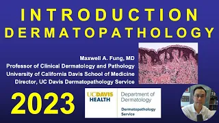 DERMATOPATHOLOGY: Introduction 2023