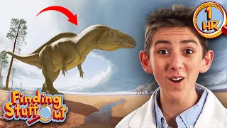 Dinosaurs & Dragons | Exploring the World of Reptiles | Full Episodes | Finding Stuff Out