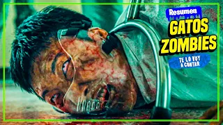 UN GATO ZOMBIE CONVIERTE A TODOS LOS HUMANOS EN ZOMBIES | RESUMEN