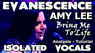 Evanescence - Bring Me To Life - Amy Lee - ISOLATED VOCALS - Analysis and Tutorial