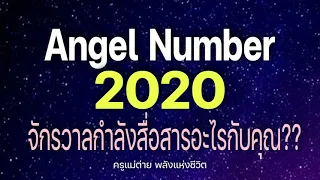 Angel Number 2020 จักรวาลกำลังสื่อสารอะไรกับคุณ|สัญญาณทูตสวรรค์|ตัวเลขซ้ำ|ครูแม่ต่าย พลังชีวิต