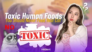 Toxic Human Foods You Should Never Feed Your Cat | Kitty