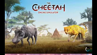 The cheetah аккаунт 40уровень 100к жизни❤#TheCheetah