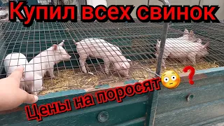 Приехал маленький свиновод и ему полтора годика❗️Я поросят не продаю, а ему продал❗️