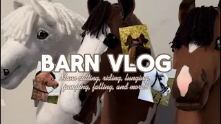 BARN VLOG with the hobbyhorses!!! ✨🥕🐴| Ocean HH