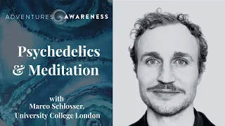 Psychedelics and Meditation with Marco Schlosser