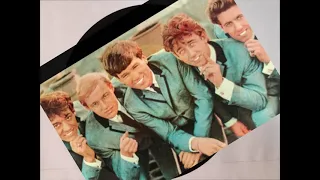 The Hollies, 1966, DON'T RUN AND HIDE