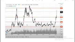 Мій прогноз. Коли стрибне ціна на кукурудзу?