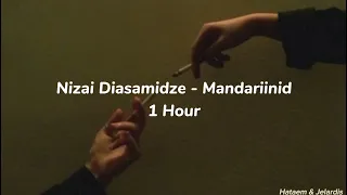 Niazi Diasamidze - Mandariinid (Mandalina Bahçesi - Tangerines Soundtrack 1 Hour)