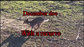 December whitetails with a recurve traditional bowhunting