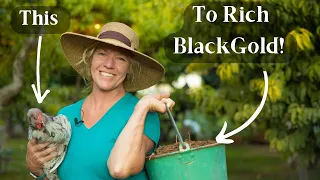 How to Make Chicken Manure Compost | Best Nitrogen Manure Source