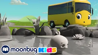 Autobus Buster - Buster w krainie kolorów | Bajki i piosenki dla dzieci! | Moonbug Kids po polsku