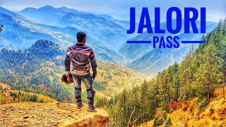 Jalori Pass Himachal/Tirthan Valley/Jalori Jot Bike Ride/Trekking of Jalori Pass/Shots of Valleys