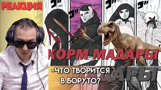 ANIMAMORI СМОТРИТ CEHR / РЕАКЦИЯ НА Что за новые враги в Боруто? Легендарная Энциклопедия Динозавров