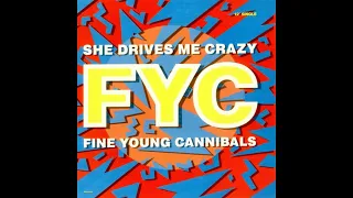 Fine Young Cannibals - She Drives Me Crazy (1988 Single Mix) HQ