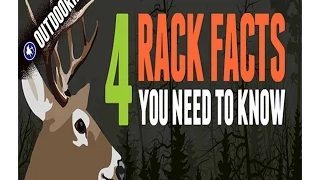 4 Facts You NEED To Know About Deer Antlers