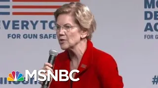 Democratic Candidates Show Unity On Gun Control In Wake Of Shootings | Hardball | MSNBC