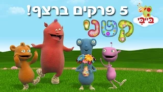 קטני - 5 פרקים ברצף!