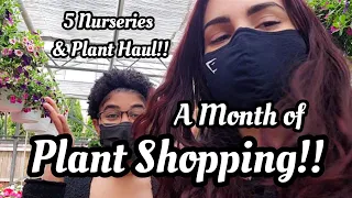 A MONTH OF PLANT SHOPPING & HUGE HAUL!! Tons of Begonia + Rare Plant Mail || May 2021 Vlog 🌻