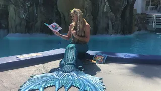 Mermaid "Tails" - How to Catch a Mermaid