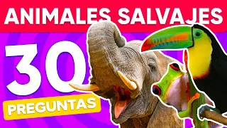 30 PREGUNTAS DE ANIMALES SALVAJES 🦁🦊 Animal Quiz