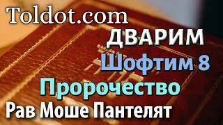 Шофтим 8, книга Дварим. Недельные главы Торы 305, рав Моше Пантелят