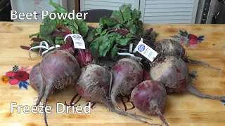 How To Make Freeze Dried Beet Juice Powder EP282