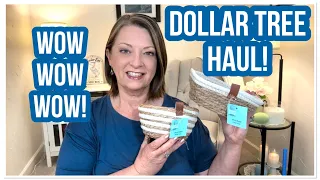 DOLLAR TREE HAUL | WOW | Fantastic NEW Finds | I LOVE THE DT😁 #haul #dollartree #dollartreehaul