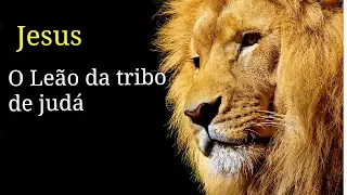 Jesus o Leão da tribo de judá - A Mensagem