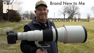 Wildlife Photography Holy Grail Lens - 600mm F4