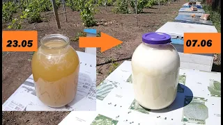 Why yellow honey turned white after crystallization