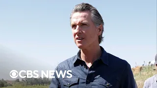 California Gov. Newsom offers to mediate Hollywood strikes