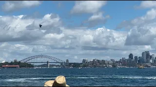 Australia Day RAAF F-35 Flypast & Handling Display on Sydney Harbour | Extended Version