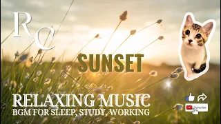 RC Relaxing Music – Sunset Soft Piano BGM for Deep Sleep/study/reading #sleepmusic #relaxingmusic